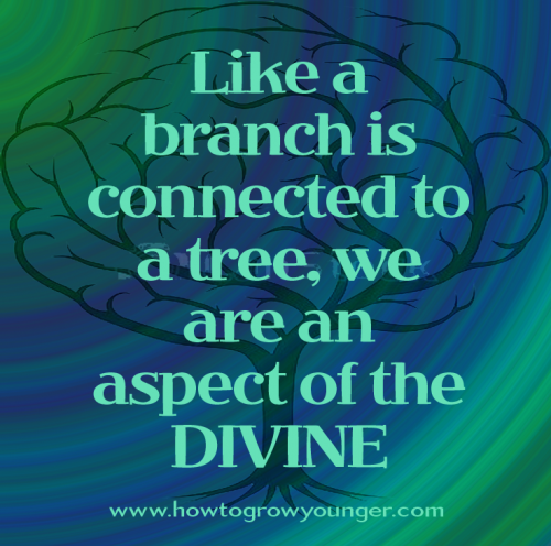 w2-d1-ellen-mind-tree